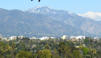 Snowy vista from South Pasadena