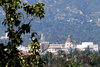 Pasadena City Hall vista