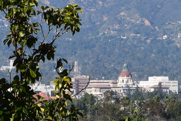 Pasadena City Hall vista