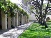 Caltech in Spring