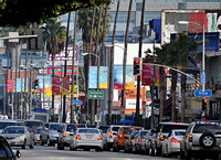 Sunset Blvd. Hollywood